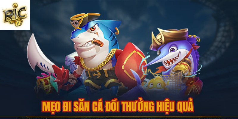 Mẹo đi săn cá đổi thưởng hiệu quả Mẹo đi săn cá đổi thưởng hiệu quả
