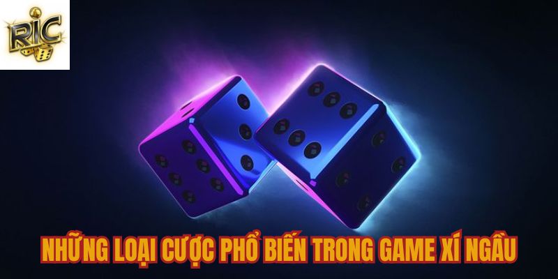 Những loại cược phổ biến trong game Xí Ngầu tại Ricwin