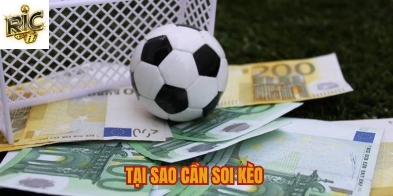Tại sao cần soi kèo trong cá độ thể thao 
