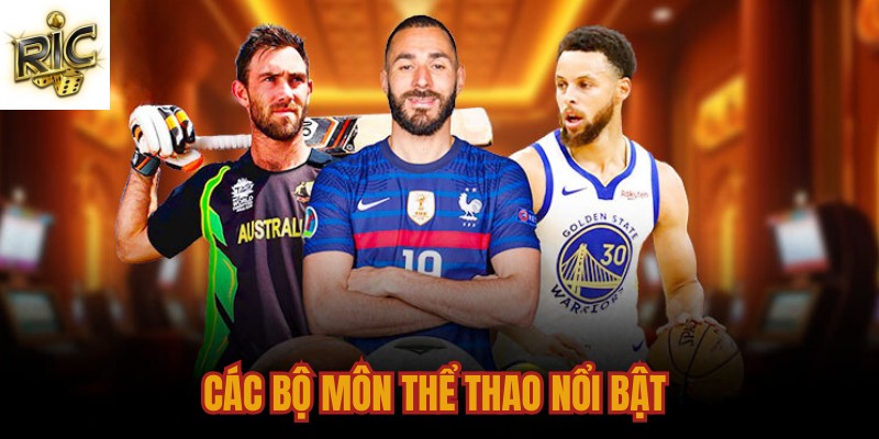 Các bộ môn thể thao nổi bật Các bộ môn thể thao nổi bật