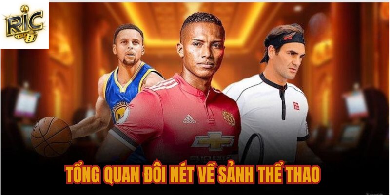 Tổng quan đôi nét về sảnh thể thao Tổng quan đôi nét về sảnh thể thao