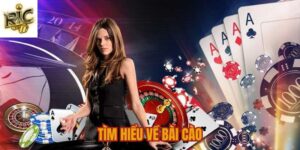 Tìm hiểu về bài Cào