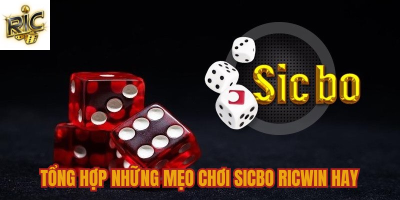 Những mẹo chơi Sicbo Ricwin hay dành cho hội viên