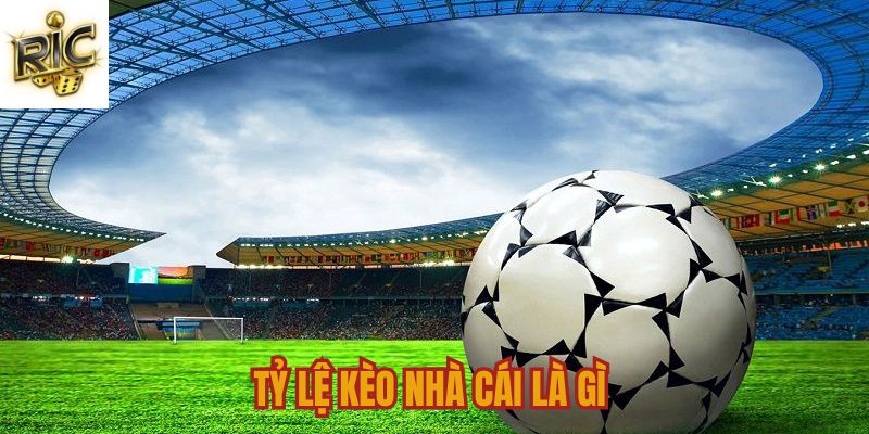 Tỷ lệ kèo nhà cái có nghĩa là gì?